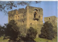 /album/fotogalerie-hrad-krakovec-zricenina-pusobiste-mistra-jana-husa/prosluly-mohutny-pilir-podpirajici-kneziste-kaple-zasvecene-rodicce-bozi-jpg/